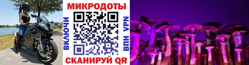 Галлюциногенные грибы Psilocybe  MEGA вход  Качканар 